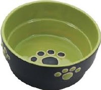 Spot Dog Dish Green 5in